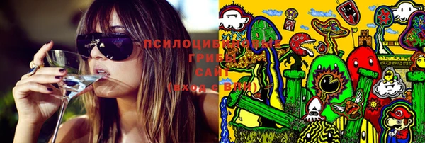 MESCALINE Аркадак