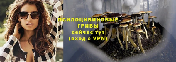 MESCALINE Аркадак