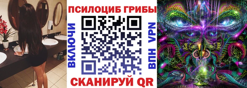 купить наркотик  Белогорск  Псилоцибиновые грибы GOLDEN TEACHER 